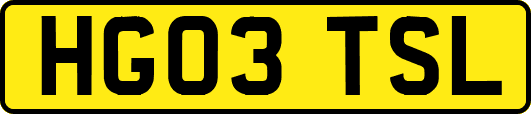 HG03TSL