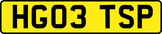 HG03TSP