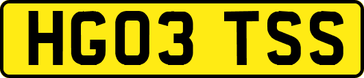 HG03TSS