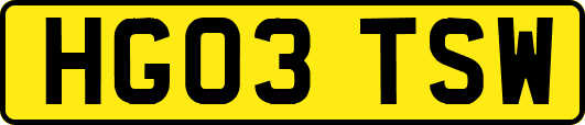 HG03TSW