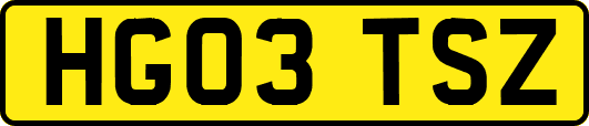 HG03TSZ