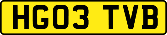 HG03TVB