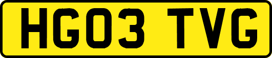 HG03TVG
