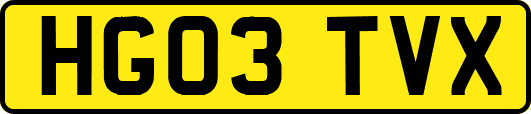HG03TVX