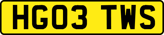 HG03TWS