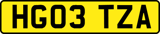 HG03TZA
