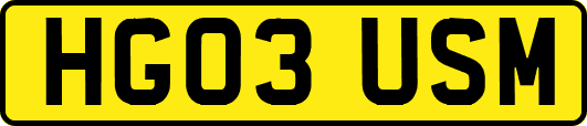 HG03USM