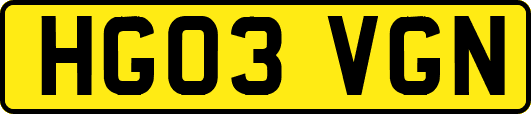 HG03VGN