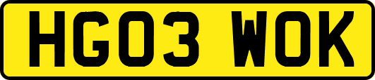 HG03WOK