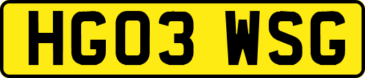 HG03WSG