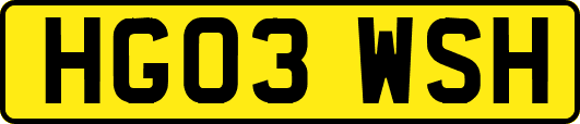 HG03WSH