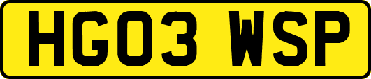 HG03WSP