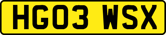 HG03WSX