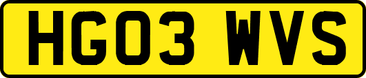 HG03WVS