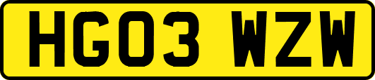 HG03WZW