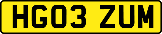 HG03ZUM