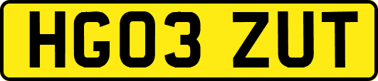 HG03ZUT