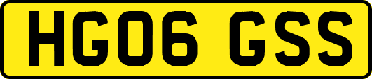 HG06GSS