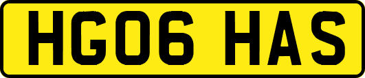 HG06HAS