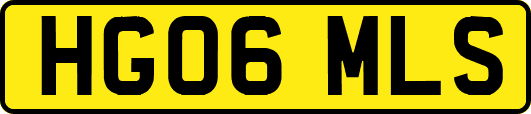 HG06MLS