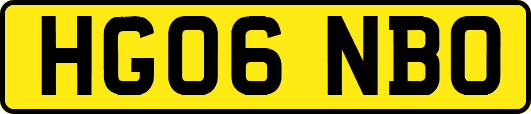 HG06NBO