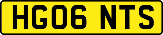 HG06NTS