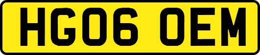 HG06OEM