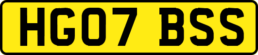 HG07BSS