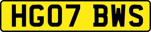 HG07BWS