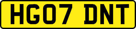 HG07DNT