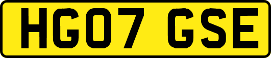 HG07GSE