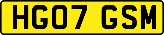 HG07GSM
