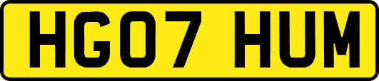 HG07HUM
