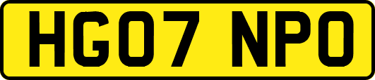 HG07NPO
