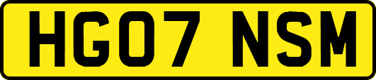 HG07NSM