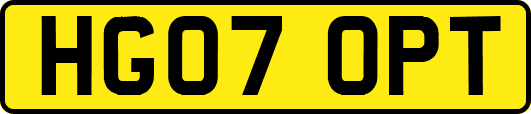 HG07OPT