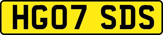 HG07SDS