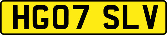 HG07SLV