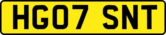 HG07SNT