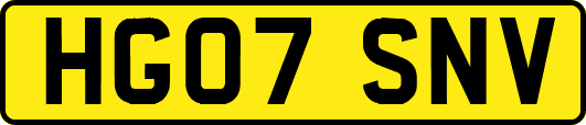 HG07SNV