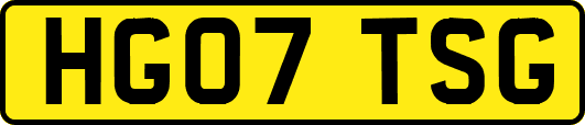 HG07TSG