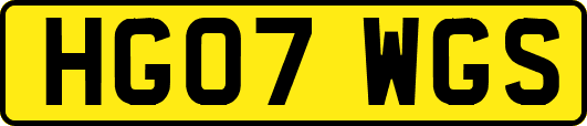 HG07WGS