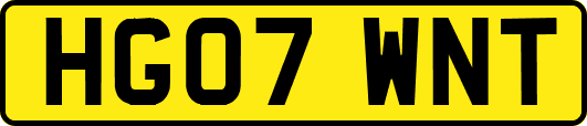 HG07WNT