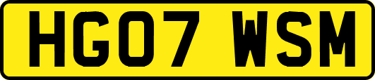 HG07WSM