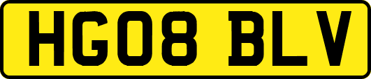 HG08BLV