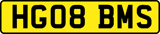 HG08BMS