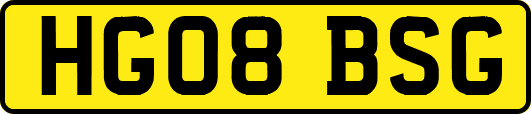 HG08BSG