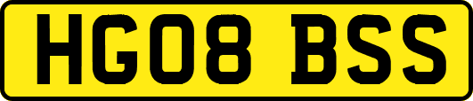 HG08BSS