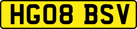 HG08BSV