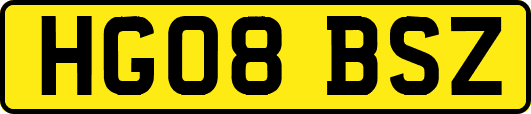 HG08BSZ